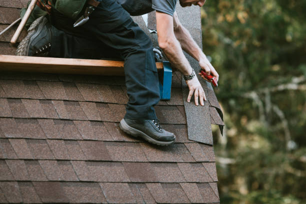 Best Roof Gutter Cleaning  in Madrid, IA